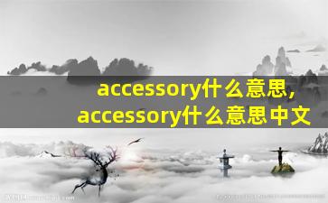 accessory什么意思,accessory什么意思中文