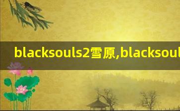 blacksouls2雪原,blacksouls图片