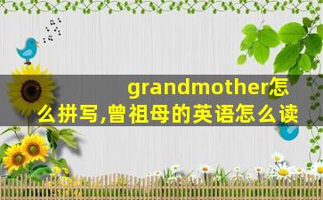 grandmother怎么拼写,曾祖母的英语怎么读