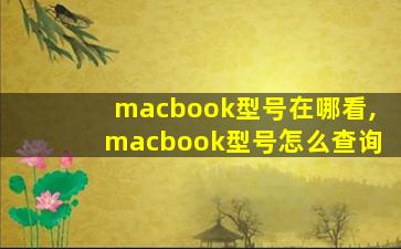macbook型号在哪看,macbook型号怎么查询