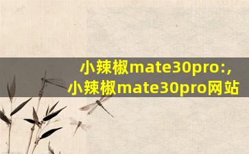 小辣椒mate30pro:,小辣椒mate30pro网站