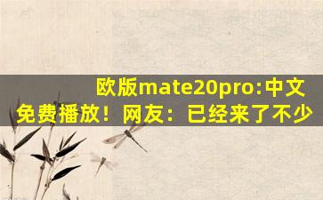 欧版mate20pro:中文免费播放！网友：已经来了不少