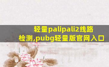 轻量palipali2线路检测,pubg轻量版官网入口