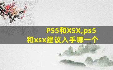 PS5和XSX,ps5和xsx建议入手哪一个