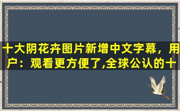 十大阴花卉图片新增中文字幕，用户：观看更方便了,全球公认的十大泡面